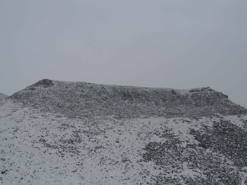 the solitary walker.jpg